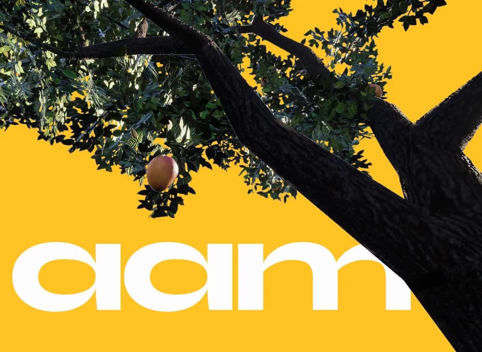 Aam – VR Experience